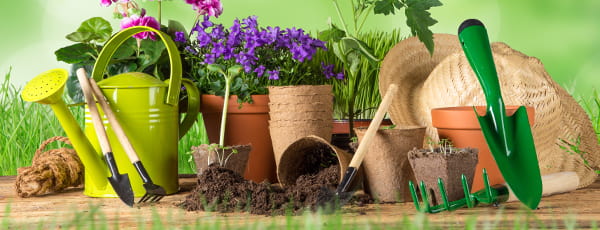 10 porad dla początkującego ogrodnika - GradinaMax 10 porad dla początkującego ogrodnika