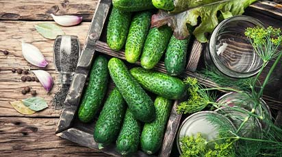 10 sposobów na udane zbiory ogórków