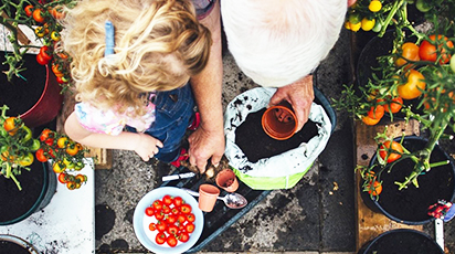 Balkonowa uprawa warzyw