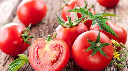 Jak zebrać kilogram pomidorów z jednego krzewu?