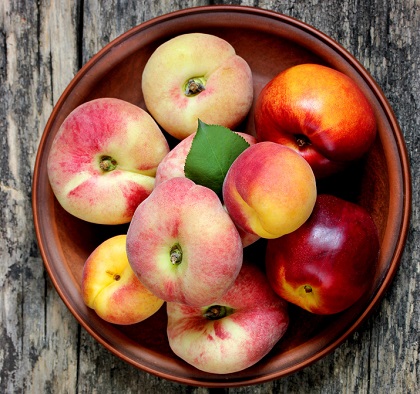 Porównanie odmian brzoskwini i nektarynek