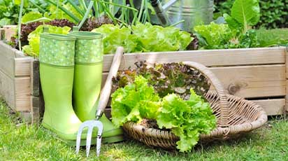 Top 10 lifehacków, które pomogą każdemu początkującemu ogrodnikowi