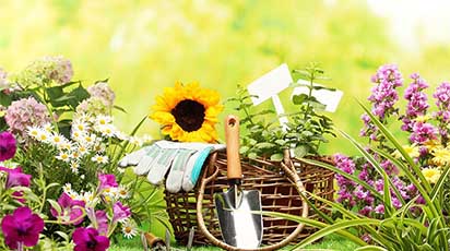 Zakładanie ogrodu jesienią: 10 wskazówek dla początkujących ogrodników