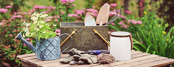 Czerwiec w ogrodzie, sadzie i warzywniku - GradinaMax Czerwiec w ogrodzie, sadzie i warzywniku