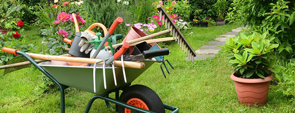 Najważniejsze prace ogrodnicze do wykonania w maju