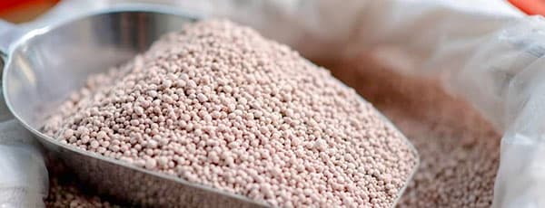 Nawozy fosforowe - mocne korzenie i zdrowe rośliny!