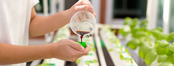 Nawozy potasowe - wszystko kwitnie i owocuje