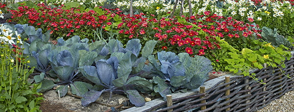 Podwyższone rabaty - zalety i wady