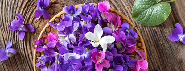 Przepis na kandyzowane fiołki