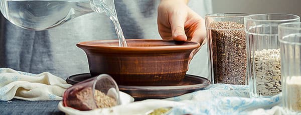 Przygotowanie nasion do siewu - GradinaMax Przygotowanie nasion do siewu