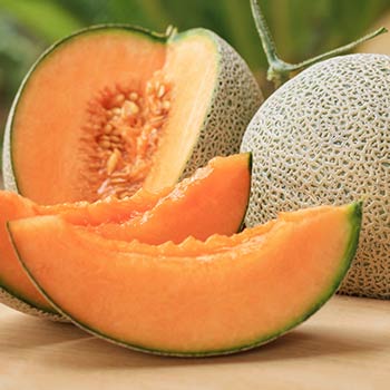 Melon