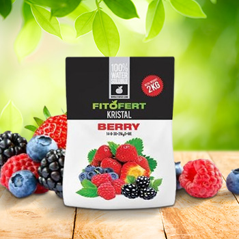 Nawóz do roślin jagodowych