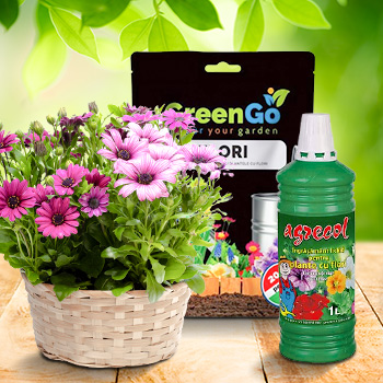 Nawóz do roślin kwitnących