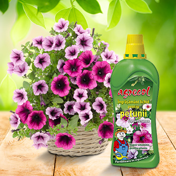 Nawóz płynny do petunii