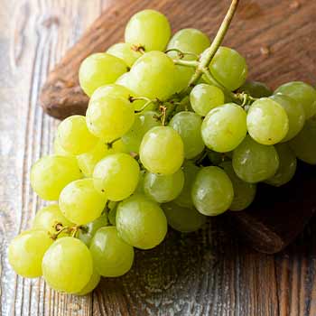 Winorośl bezpestkowa