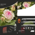 Róża pnąca Eden Rose®, C3 interface.art zdjęcie 3 Róża pnąca Eden Rose®, C3 interface.image 3 interface.art 4559
