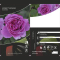 Róża rabatowa Adore Aroma®, С3 interface.image 3 interface.art 2065