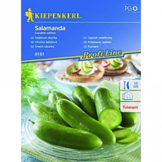 Ogórek sałatkowy Salamanda Kiepenkerl interface.image 3