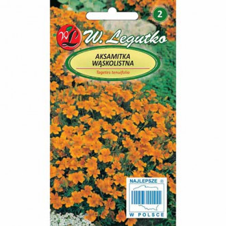 Aksamitka wąskolistna Orange Gem Legutko interface.image 10