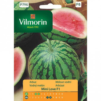 Arbuz Mini Love F1 Vilmorin zdjęcie 8 Arbuz Mini Love F1 Vilmorin interface.image 8