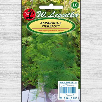 Asparagus pierzasty interface.image 1