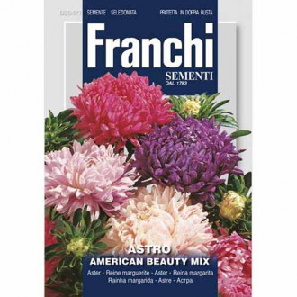 Aster chiński American Beauty, mieszanka kolorów Morami interface.image 2