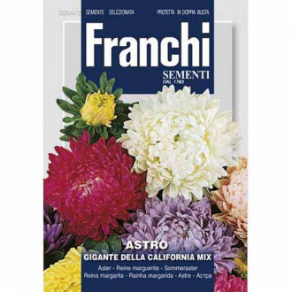 Aster chiński Gigant de California, mieszanka kolorów Morami interface.image 9