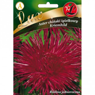 Aster chiński igiełkowy Kriemhild