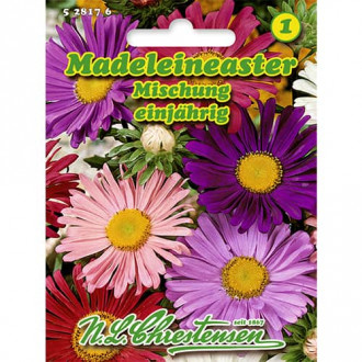 Aster alpejski Madeleineaster, mix kolorow interface.image 2