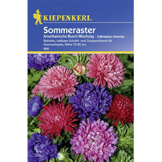 Aster pelny Amerikanische Busch, mix kolorow interface.image 3