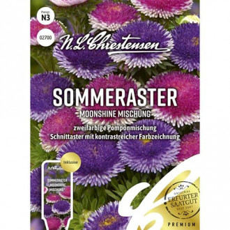Aster pomponowy Moonshine, mix kolorow interface.image 1