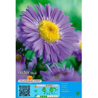 Aster Blue interface.image 1