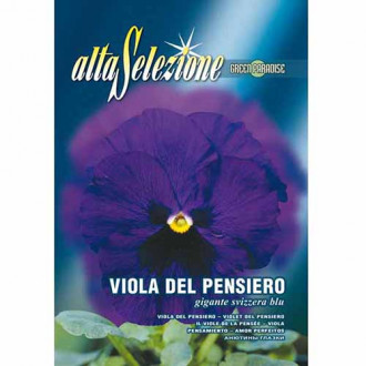 Bratek szwajcarski wielkokwiatowy niebieski Morami