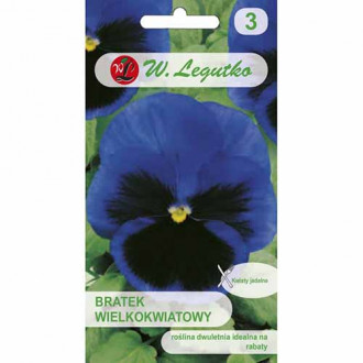 Bratek wielkokwiatowy Alpensee Lake of Thun Legutko interface.image 4