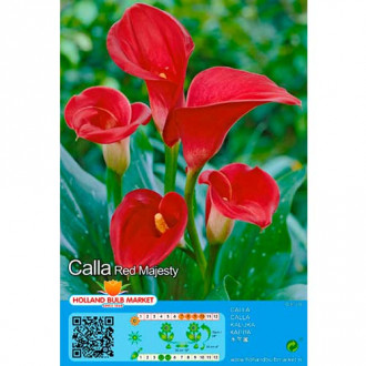 Calla Red interface.image 4
