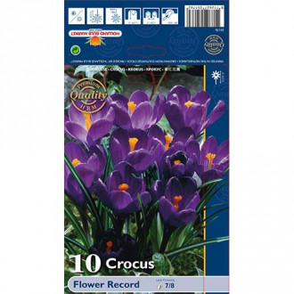 Krokus Flower Record interface.image 4