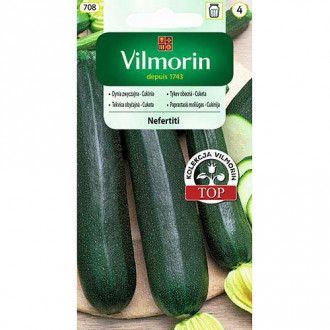 Cukinia (Dynia zwyczajna) Nefertiti Vilmorin zdjęcie 13 Cukinia (Dynia zwyczajna) Nefertiti Vilmorin interface.image 13