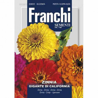 Cynia Gigante de California, mieszanka kolorów Morami interface.image 9