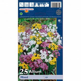 Czosnek (Allium), mix kolorów interface.image 3
