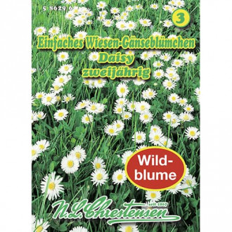 Szarlotka pospolita Daisy zdjęcie 12 Szarlotka pospolita Daisy interface.image 12