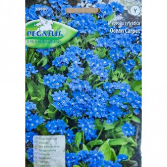 Niezapominajka Ocean Carpet interface.image 11