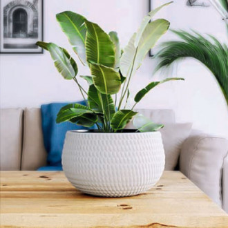 Doniczka kula Lina, biała, 32 cm interface.image 10