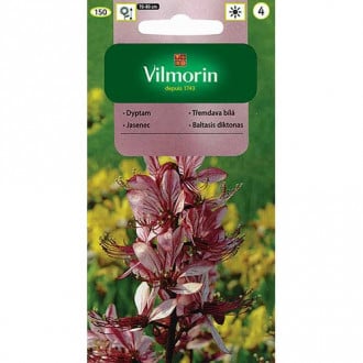 Dyptam (Krzew Mojżesza) różowy Vilmorin interface.image 1