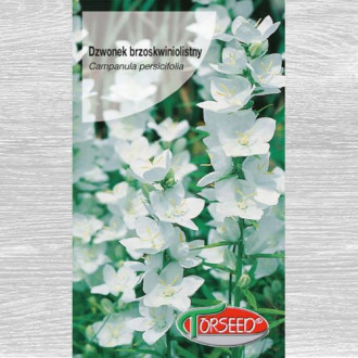 Dzwonek brzoskwiniolistny biały interface.image 6