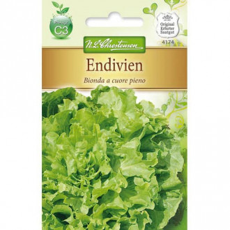 Salata endywia Bionda a cuore pieno interface.image 1
