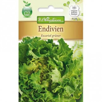 Salata endywia Escariol gruner interface.image 2