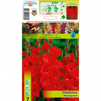 Gladiola (Mieczyk) Matchpoint interface.image 5