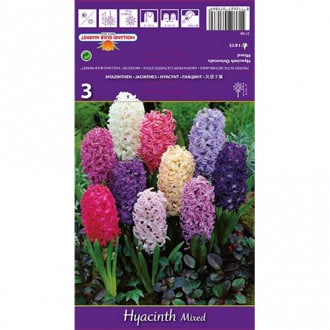 Hiacynt Spring Palette, mix kolorów interface.image 4