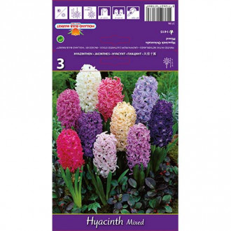 Hiacynt Spring Palette, mix kolorów interface.image 6