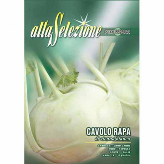 Kalarepa di Vienna Bianco Morami interface.image 15